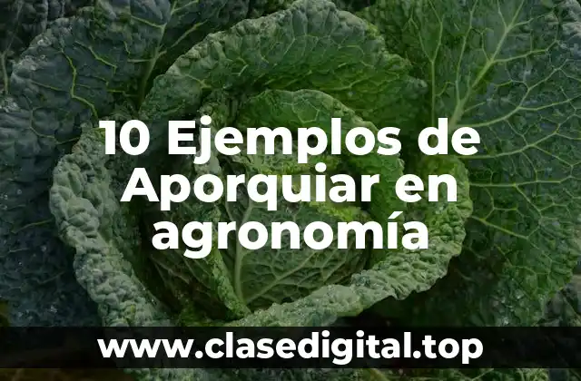 10 Ejemplos de Aporquiar en agronomía