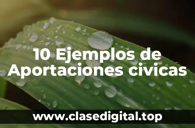 10 Ejemplos de Aportaciones civicas
