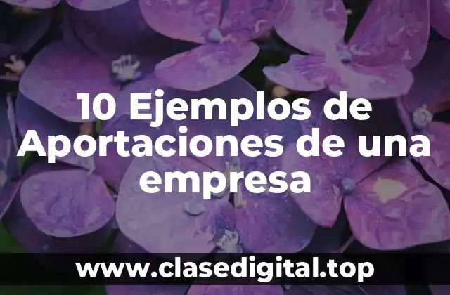 10 Ejemplos de Aportaciones de una empresa