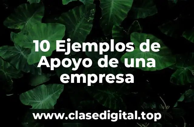 Ejemplos de apoyo de una empresa