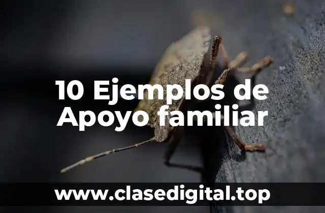 10 Ejemplos de Apoyo familiar