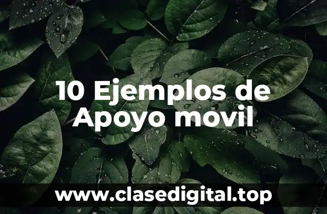 10 Ejemplos de Apoyo movil