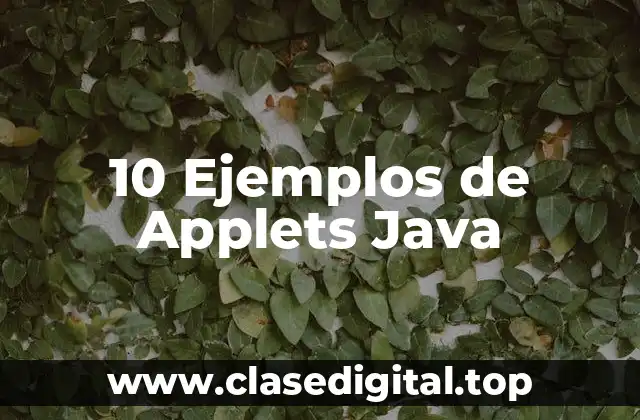 10 Ejemplos de Applets Java