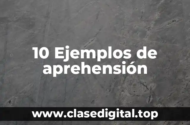 10 Ejemplos de aprehensión