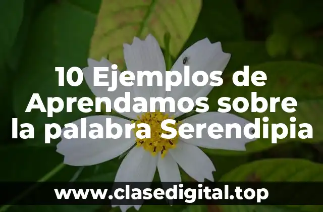10 Ejemplos de Aprendamos sobre la palabra Serendipia
