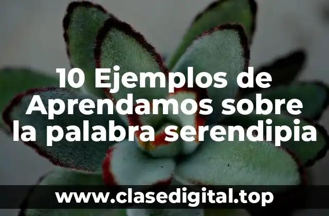 10 Ejemplos de Aprendamos sobre la palabra serendipia