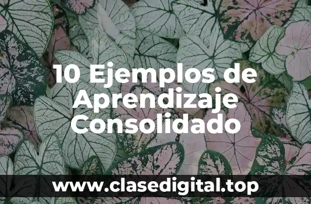 Ejemplos de Aprendizaje Consolidado