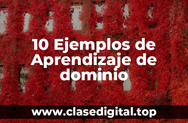 10 Ejemplos de Aprendizaje de dominio