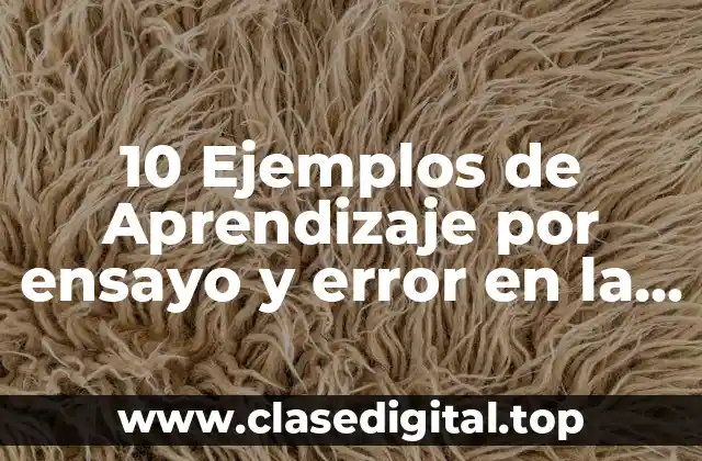 Ejemplos de aprendizaje por ensayo y error en la escuela