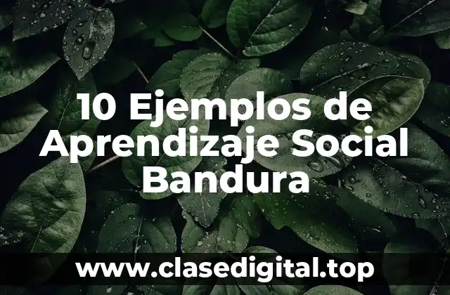 10 Ejemplos de Aprendizaje Social Bandura
