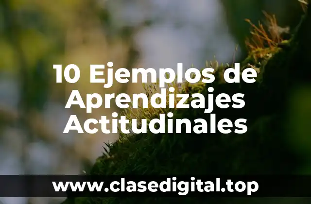 10 Ejemplos de Aprendizajes Actitudinales