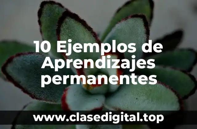 Ejemplos de aprendizajes permanentes