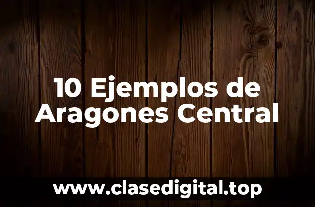 10 Ejemplos de Aragones Central