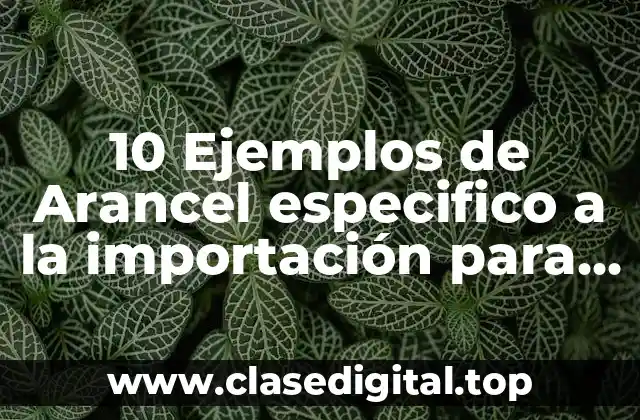10 Ejemplos de Arancel especifico a la importación para México