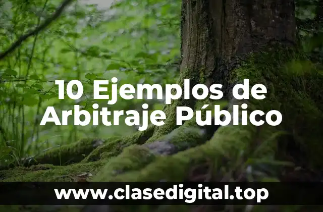 10 Ejemplos de Arbitraje Público