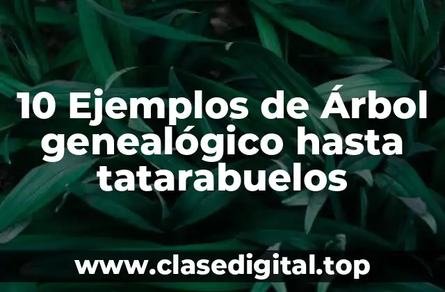 10 Ejemplos de Árbol genealógico hasta tatarabuelos