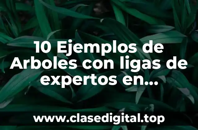 10 Ejemplos de Arboles con ligas de expertos en informática