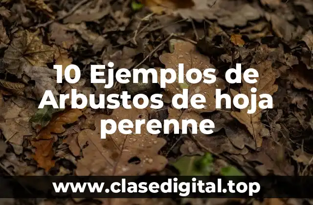 10 Ejemplos de Arbustos de hoja perenne