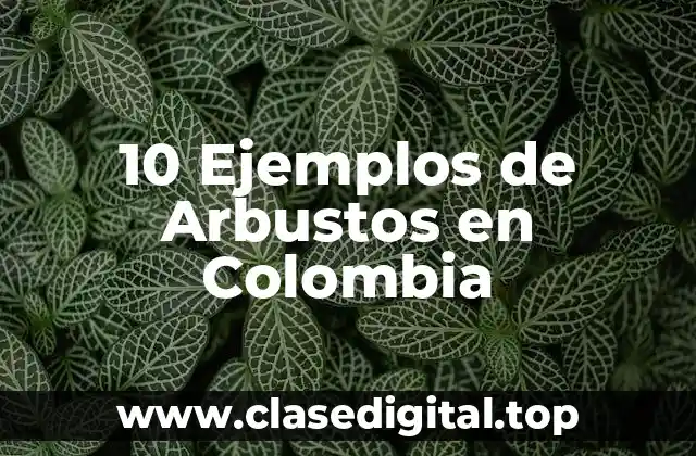 10 Ejemplos de Arbustos en Colombia