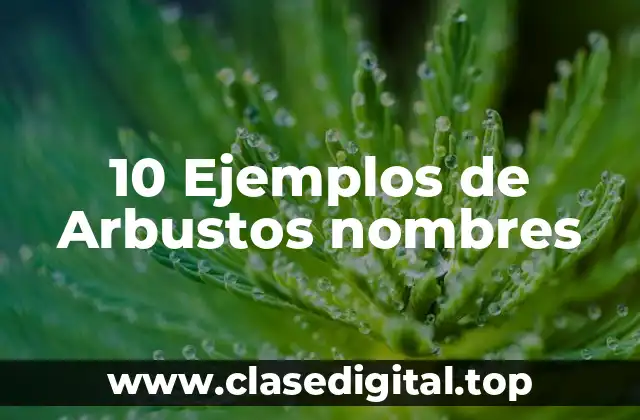 Ejemplos de arbustos nombres