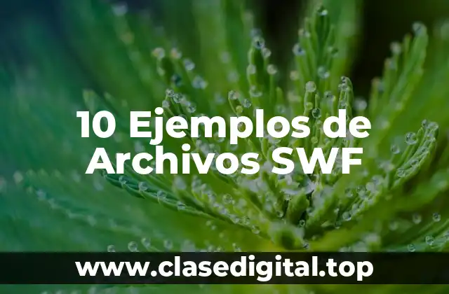 10 Ejemplos de Archivos SWF