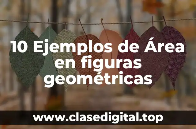 10 Ejemplos de Área en figuras geométricas