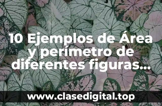10 Ejemplos de Área y perímetro de diferentes figuras geométricas