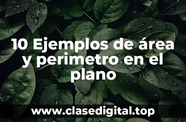 10 Ejemplos de área y perimetro en el plano