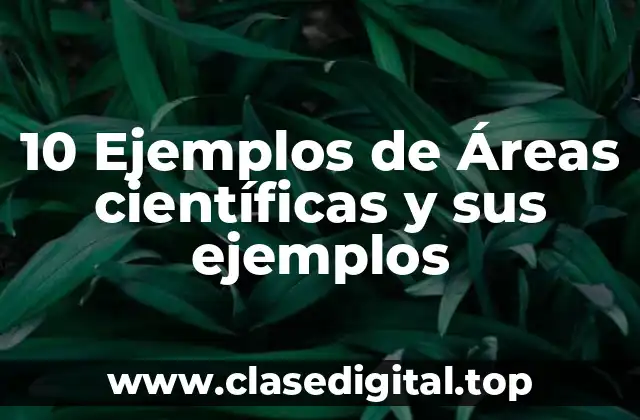 10 Ejemplos de Áreas científicas y sus ejemplos