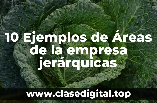 10 Ejemplos de Áreas de la empresa jerárquicas