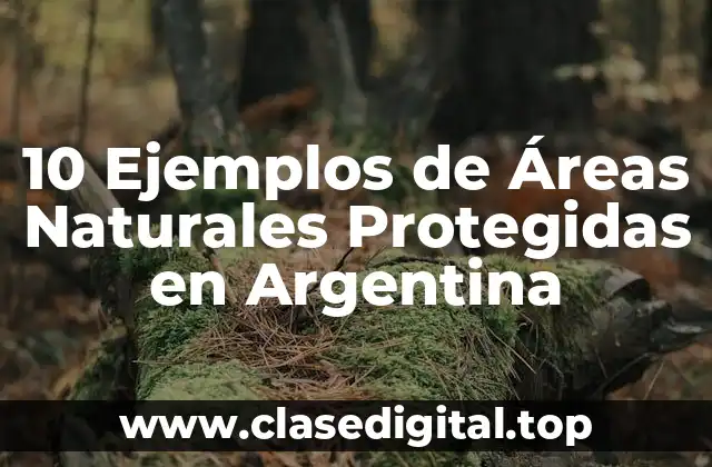 10 Ejemplos de Áreas Naturales Protegidas en Argentina