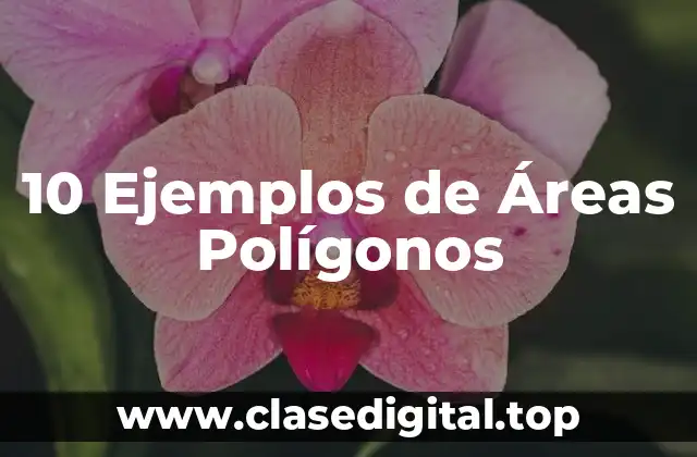 10 Ejemplos de Áreas Polígonos