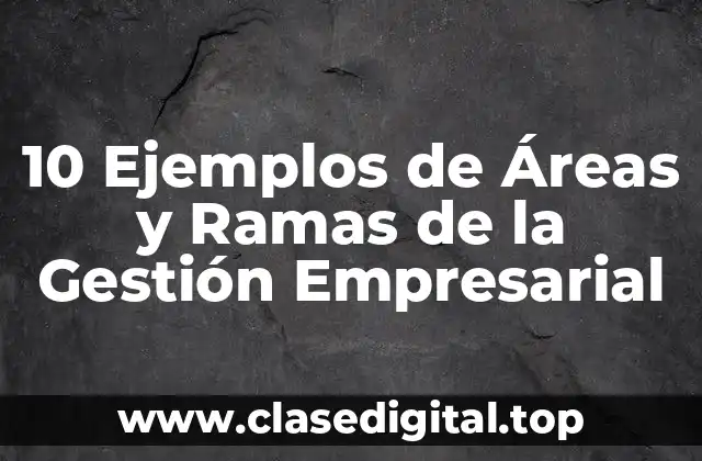 10 Ejemplos de Áreas y Ramas de la Gestión Empresarial