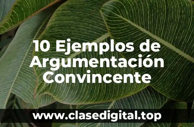10 Ejemplos de Argumentación Convincente
