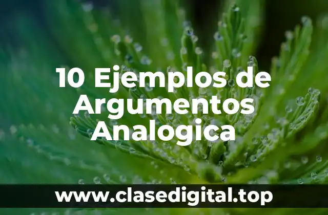 10 Ejemplos de Argumentos Analogica