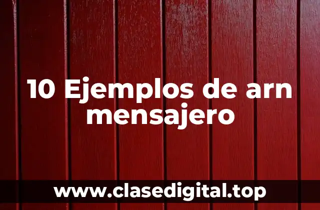 10 Ejemplos de arn mensajero