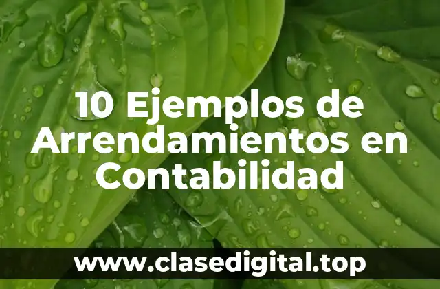 10 Ejemplos de Arrendamientos en Contabilidad