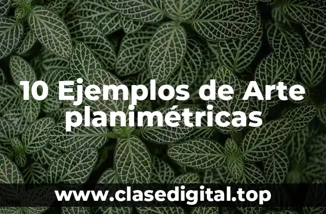 10 Ejemplos de Arte planimétricas