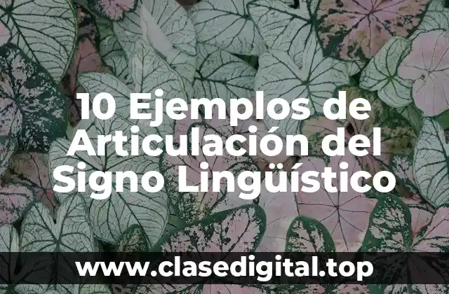 10 Ejemplos de Articulación del Signo Lingüístico