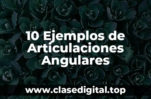 Ejemplos de Articulaciones Angulares