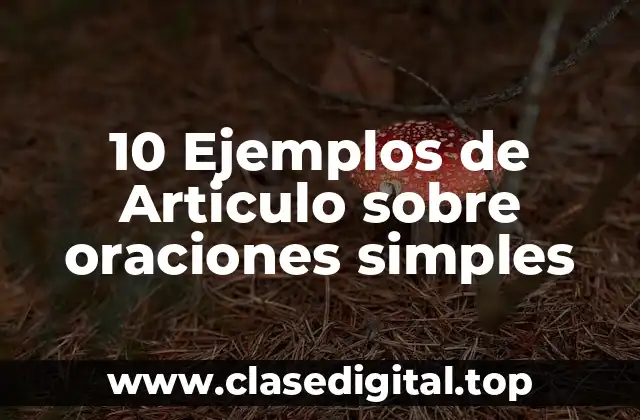 10 Ejemplos de Articulo sobre oraciones simples