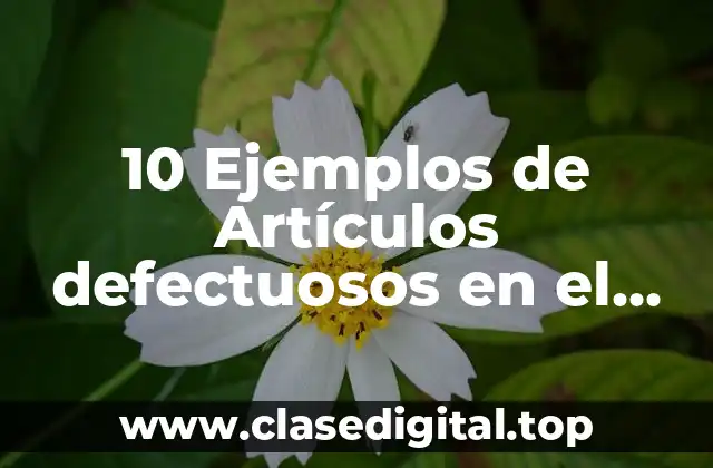 10 Ejemplos de Artículos defectuosos en el almacén