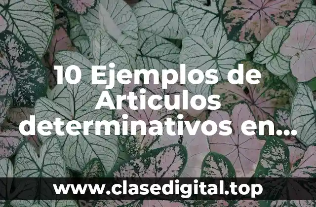 10 Ejemplos de Articulos determinativos en singular en italiano