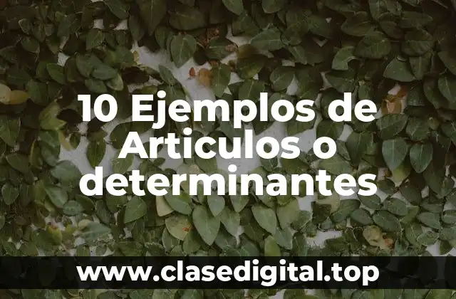 10 Ejemplos de Articulos o determinantes