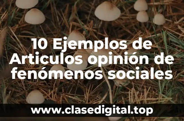 10 Ejemplos de Articulos opinión de fenómenos sociales