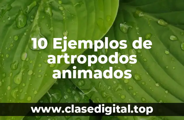 10 Ejemplos de artropodos animados