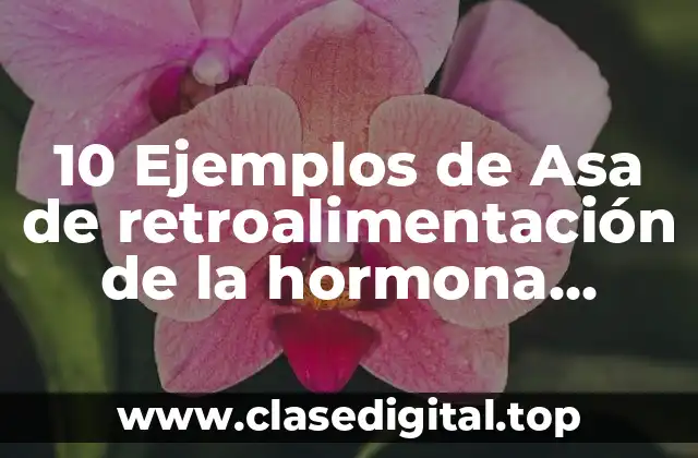 10 Ejemplos de Asa de retroalimentación de la hormona antidiurética