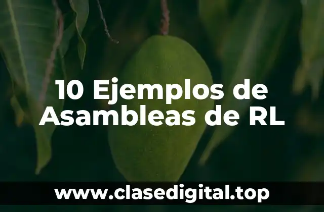 10 Ejemplos de Asambleas de RL