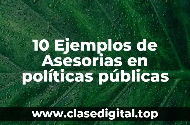 10 Ejemplos de Asesorias en políticas públicas