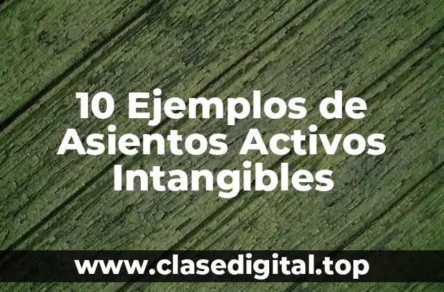 10 Ejemplos de Asientos Activos Intangibles